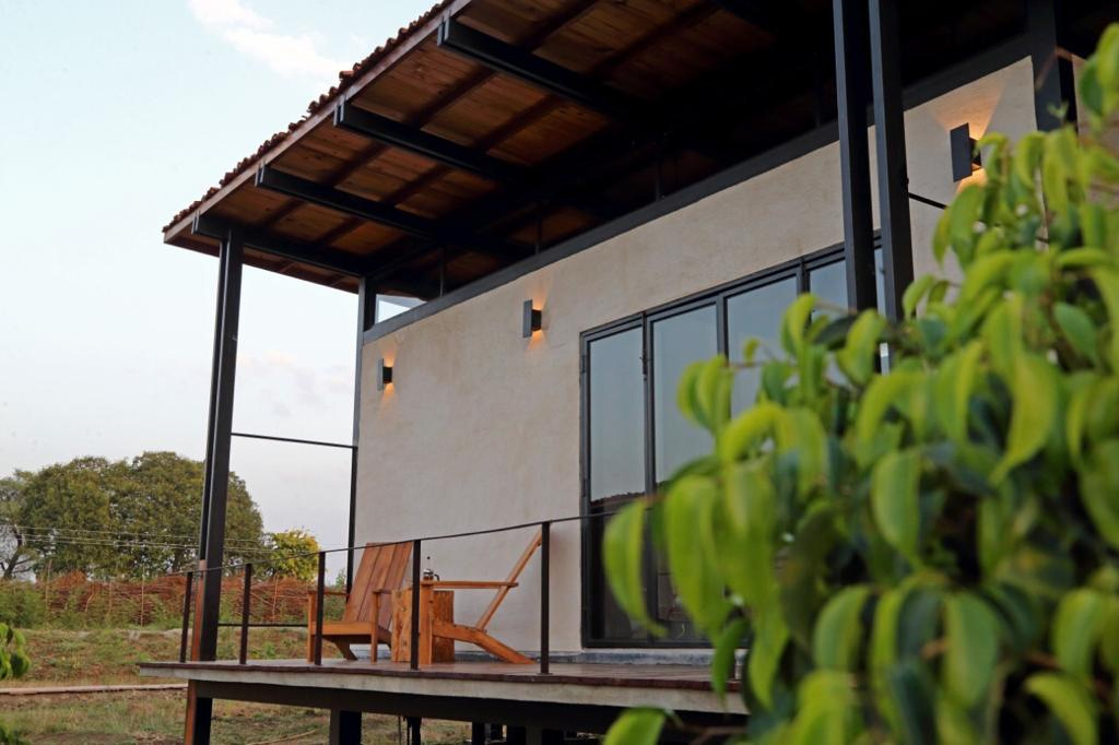 Zira Collection Item